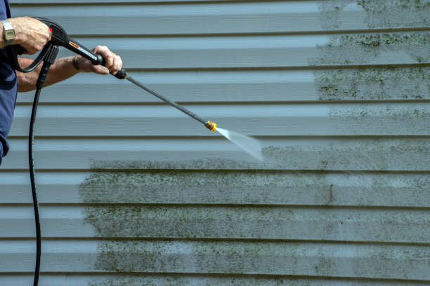 Best Residential Pressure Washing Services  in Wake Village, TX