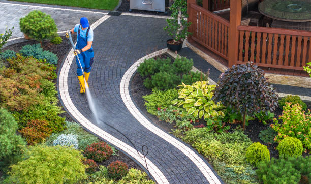 Best Residential Pressure Washing Services  in Wake Village, TX